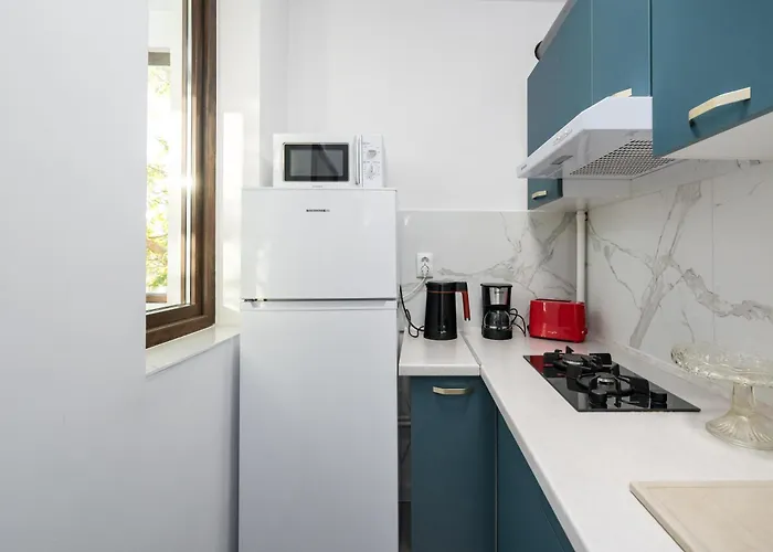 Oasis Concept * Bucareste